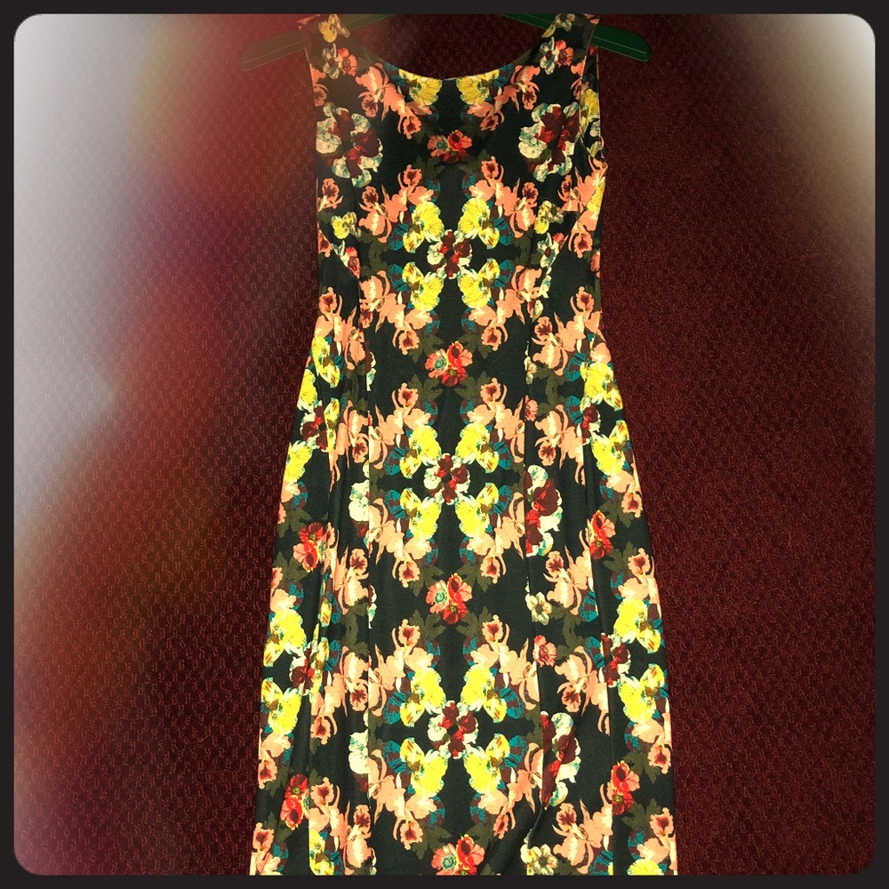 Erdem dress